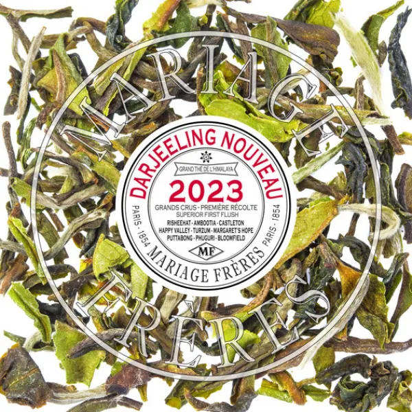 New AMBOOTIA Darjeeling | Himalaya - Darjeeling