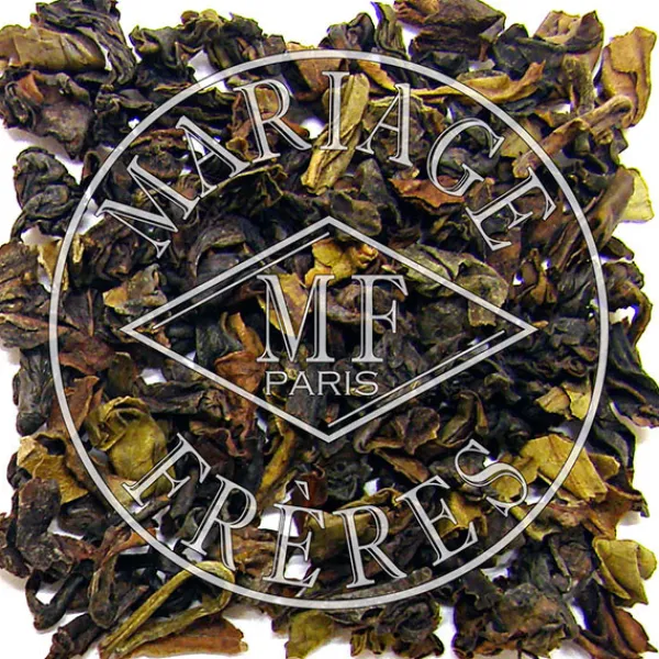 Online AMBOOTIA Darjeeling | Himalaya - Darjeeling