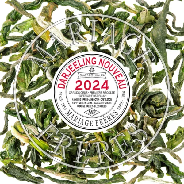 Clearance BLOOMFIELD Darjeeling | Himalaya - Darjeeling