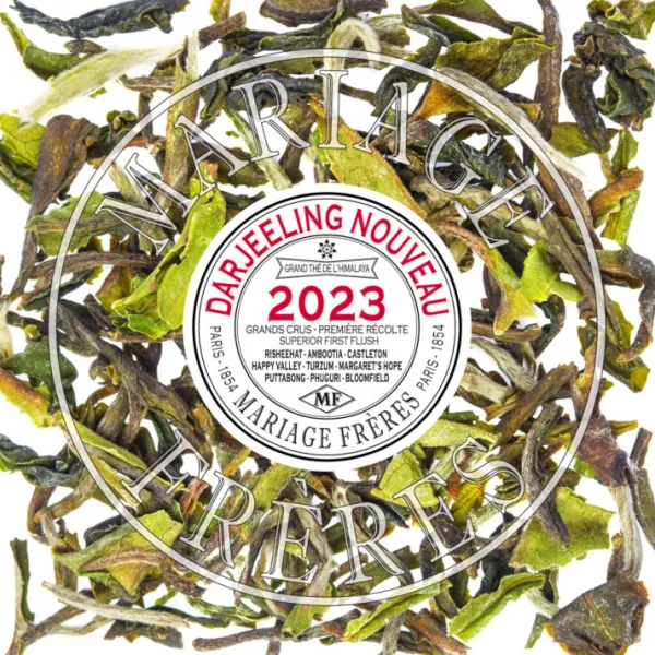 Flash Sale MARGARETu2019S HOPE Darjeeling Nouveau | Nature