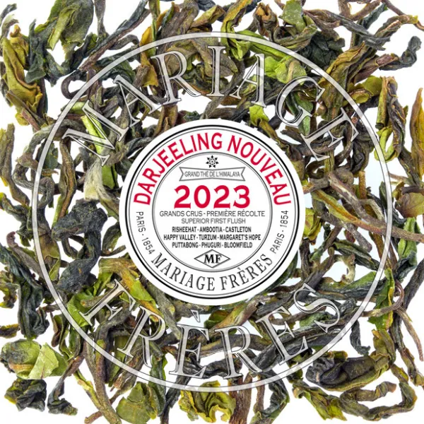 Cheap PUTTABONG Darjeeling | Himalaya - Darjeeling