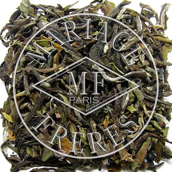 Online QUEEN VICTORIAu2122 Darjeeling | Himalaya - Darjeeling