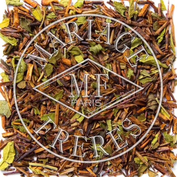 New ROUGE CASABLANCA Rooibos | Menthe