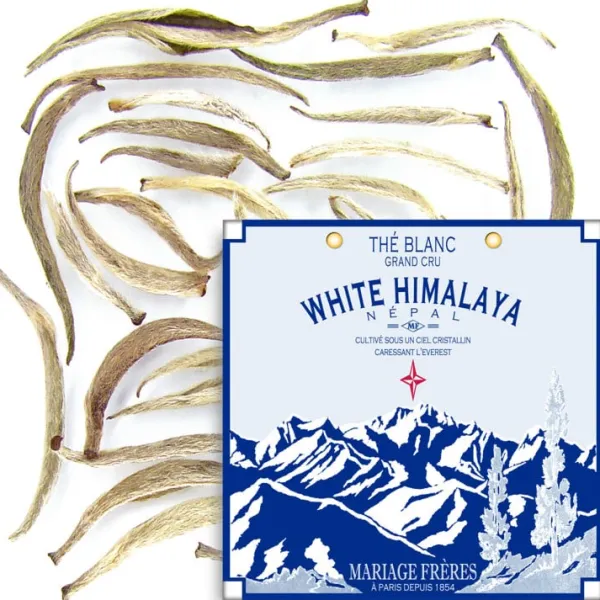 Online WHITE HIMALAYA Thé Blanc | Nature